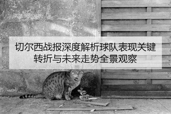 切尔西战报深度解析球队表现关键转折与未来走势全景观察